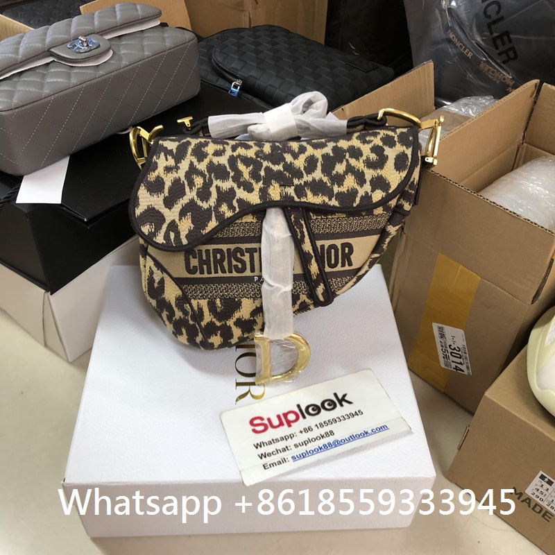Christian Dior Saddle Bag Canvas Leopard (10)